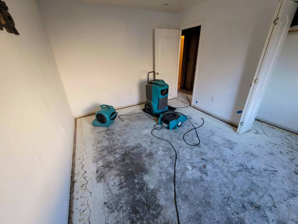 Best Residential water damage restoration  in Summitville, IN