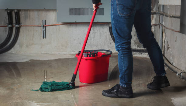 Best Water damage restoration near me  in Summitville, IN