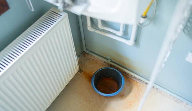 Best Water damage cleanup near me  in Summitville, IN