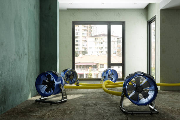Best Water damage contractors near me  in Summitville, IN